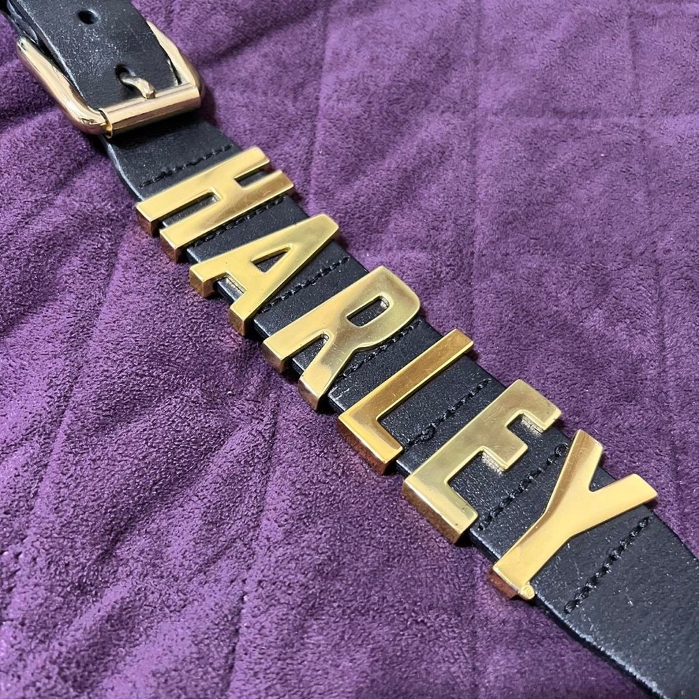 HARLEY DAVIDSON GOLD DIGGERS BELT
